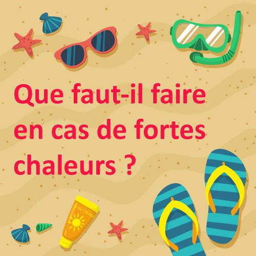 Conseils en cas de fortes chaleurs