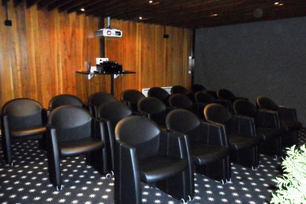 cine arc 1(Copier)