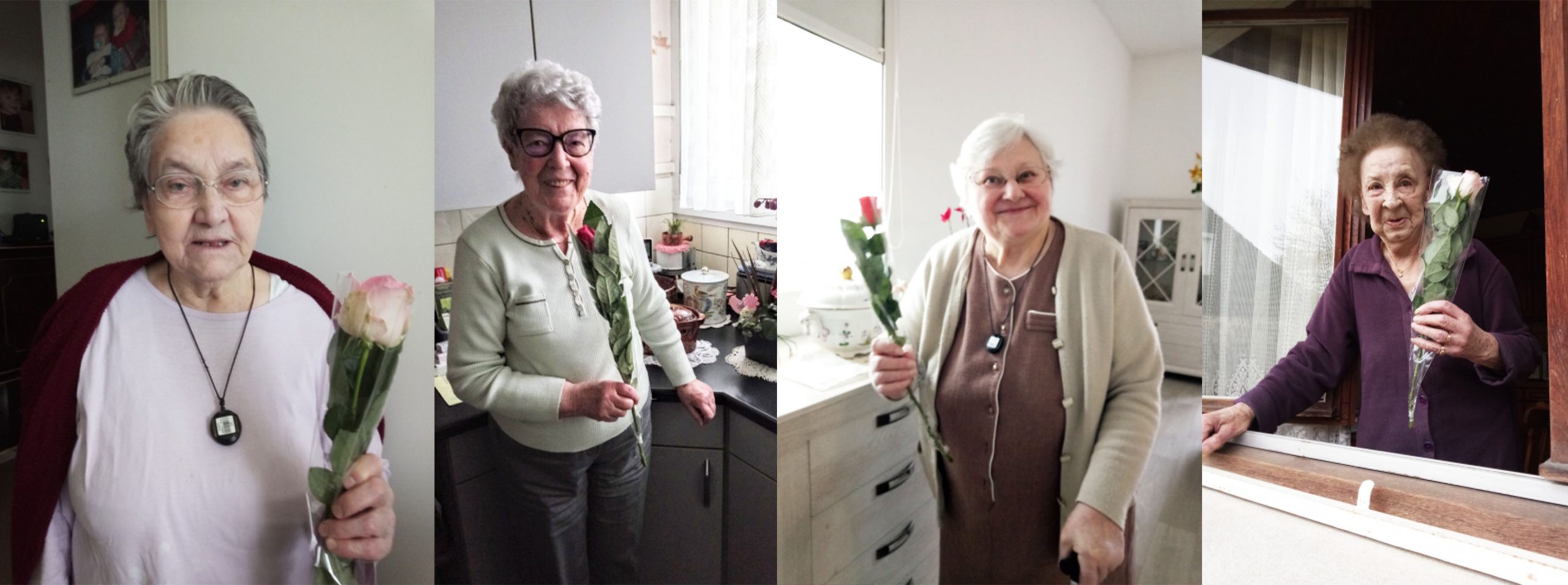 UN JOUR, UNE ROSE, UNE GRAND-MÈRE